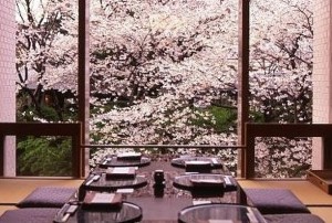 花見　桜　雨　楽しむ方法